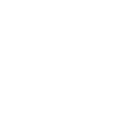 seo expert in qatar